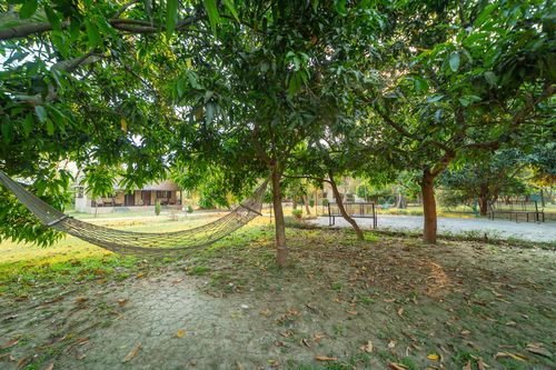 Lumbini Buddha Garden